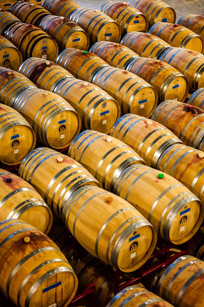USA-WA-Woodinville Barrell cellar holds hundreds of wine barrels